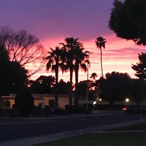 Meet your Posher, Paige